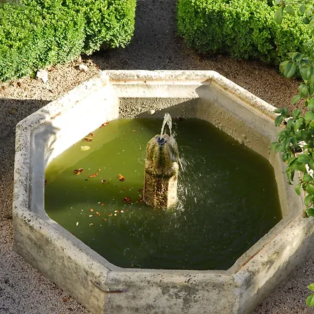 فندق Octant